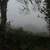 mrjan0513