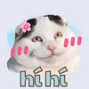 kdjd_sk