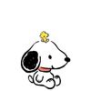patii._5