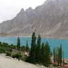 yasarali7355