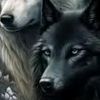 lenok_0770