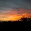 anakarolinavailoe4