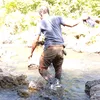 alifur.alifuru