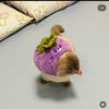 chipnda