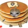 notthatcute5
