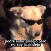 orlandopascual643
