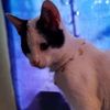 santi_73730