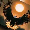 .mohamad996