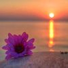 nurlan_341