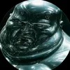 orcalollo