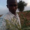dyue91xwpjs12