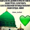guljan.323