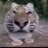 userm1eubb4tz2