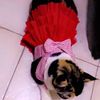 pinkydoll652