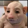 lali284049382e