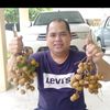 mawan8393