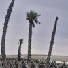 miloudmiloud349