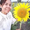 useryjsmh8sxtq