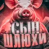 655_5___3