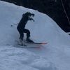 tylergarlin1
