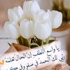 dy4l7o5gaxp5