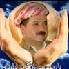 majeadali123
