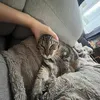 ma_ella0