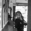 flor_xd29
