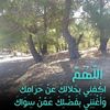 mouhammadmohamad