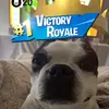 koa__15