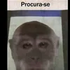 tiktok902o