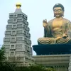 nhonhoaquang
