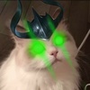 domxargus