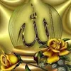 hawzhin.ali7