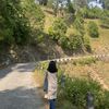ankitashah897