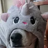 boboksoslive