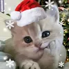 loyd_ve