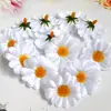 zukevicirina660