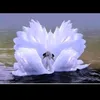 anelya1325
