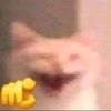 belench_cr