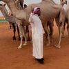 سفير بني زيد