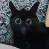 zuli.de