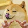 slogdog69