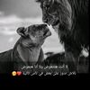 user8gekk7ic2b