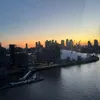 kashfiah_chowdhury