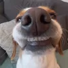 cheeksofgandhi