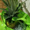 kitchenforhappy