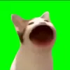 matti_.50