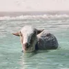 badesau