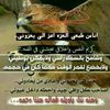 ysgwjjssk767